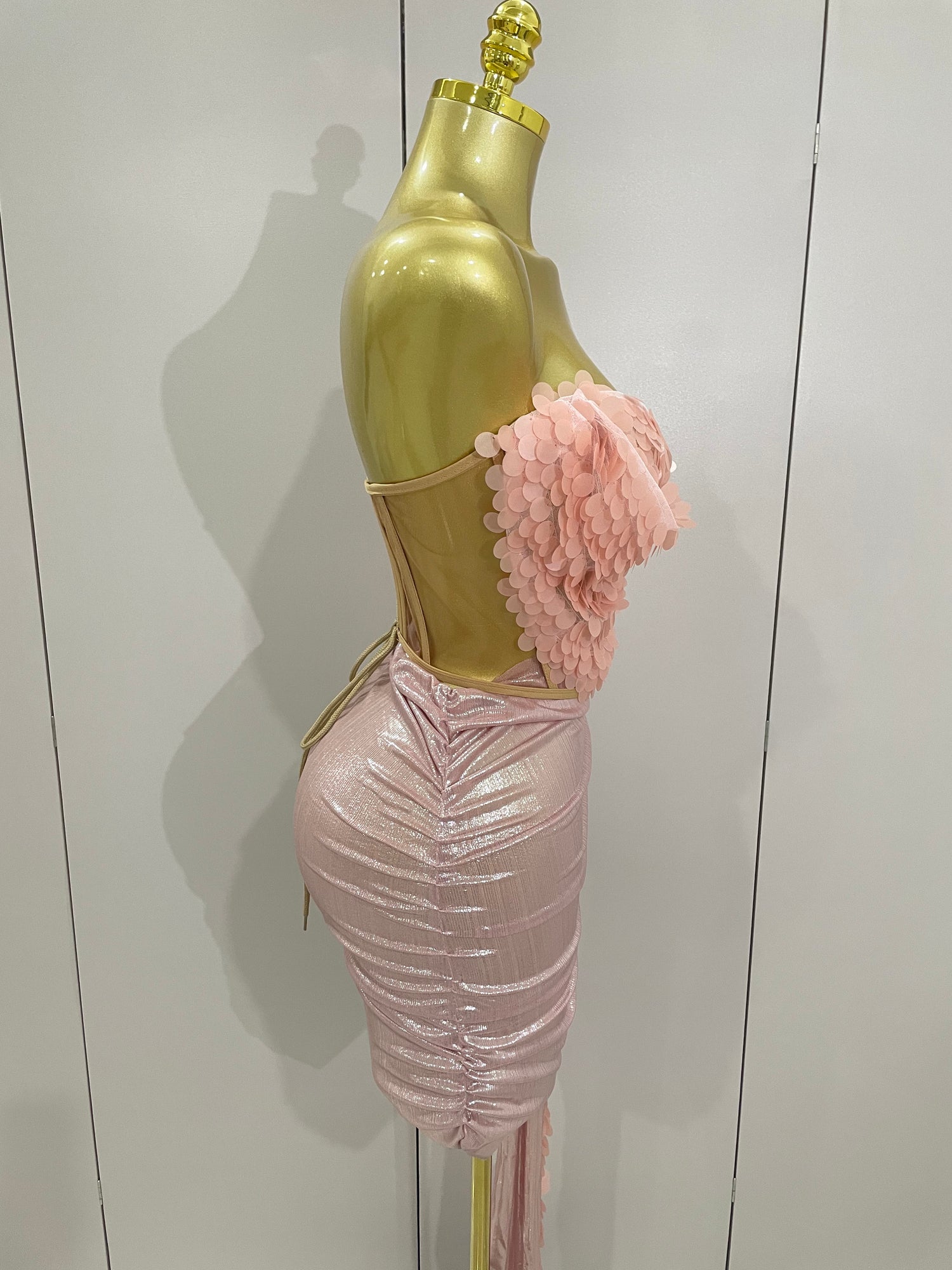 Pink 2 Piece Corset Top with Skirt Set