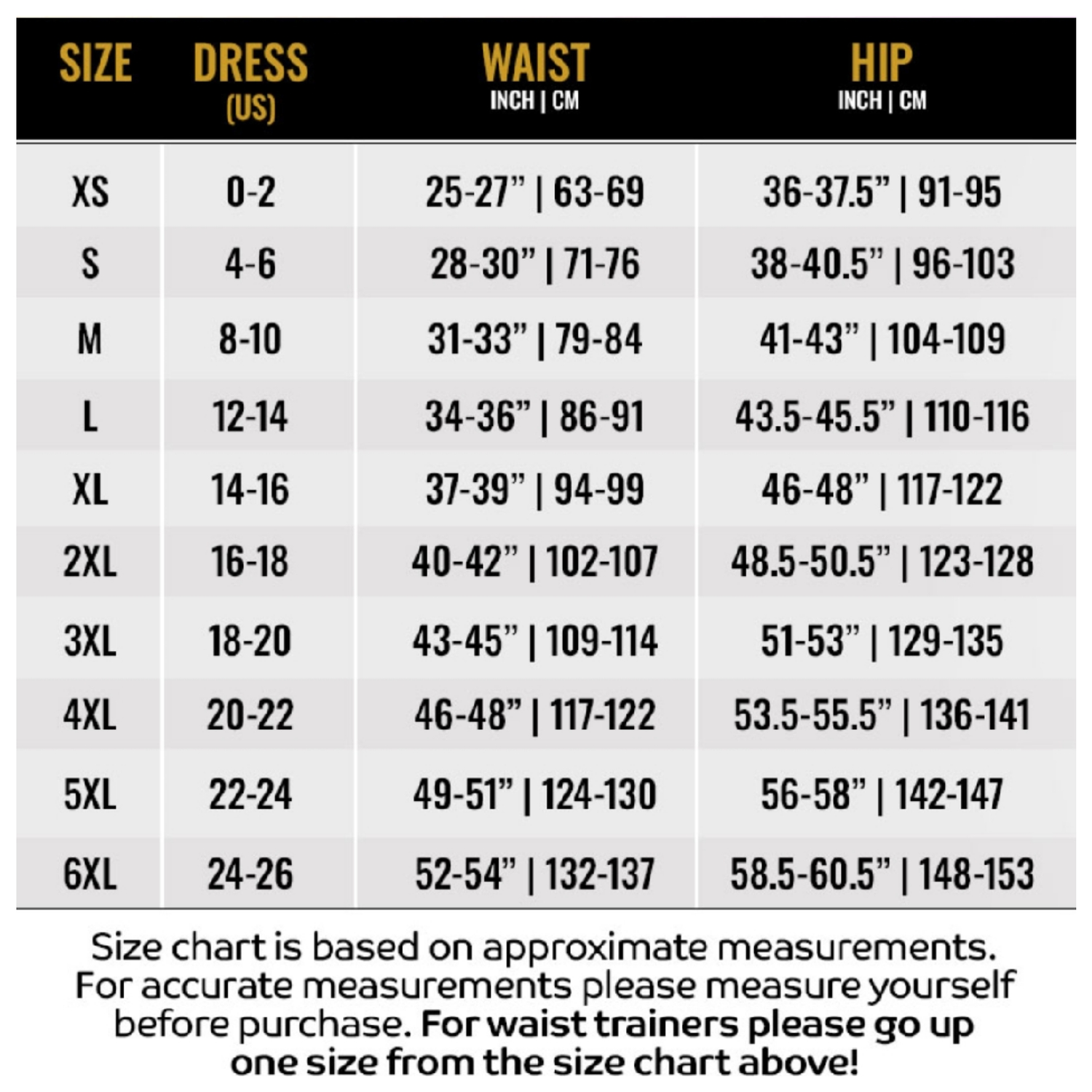 Pro waist cincher double strap